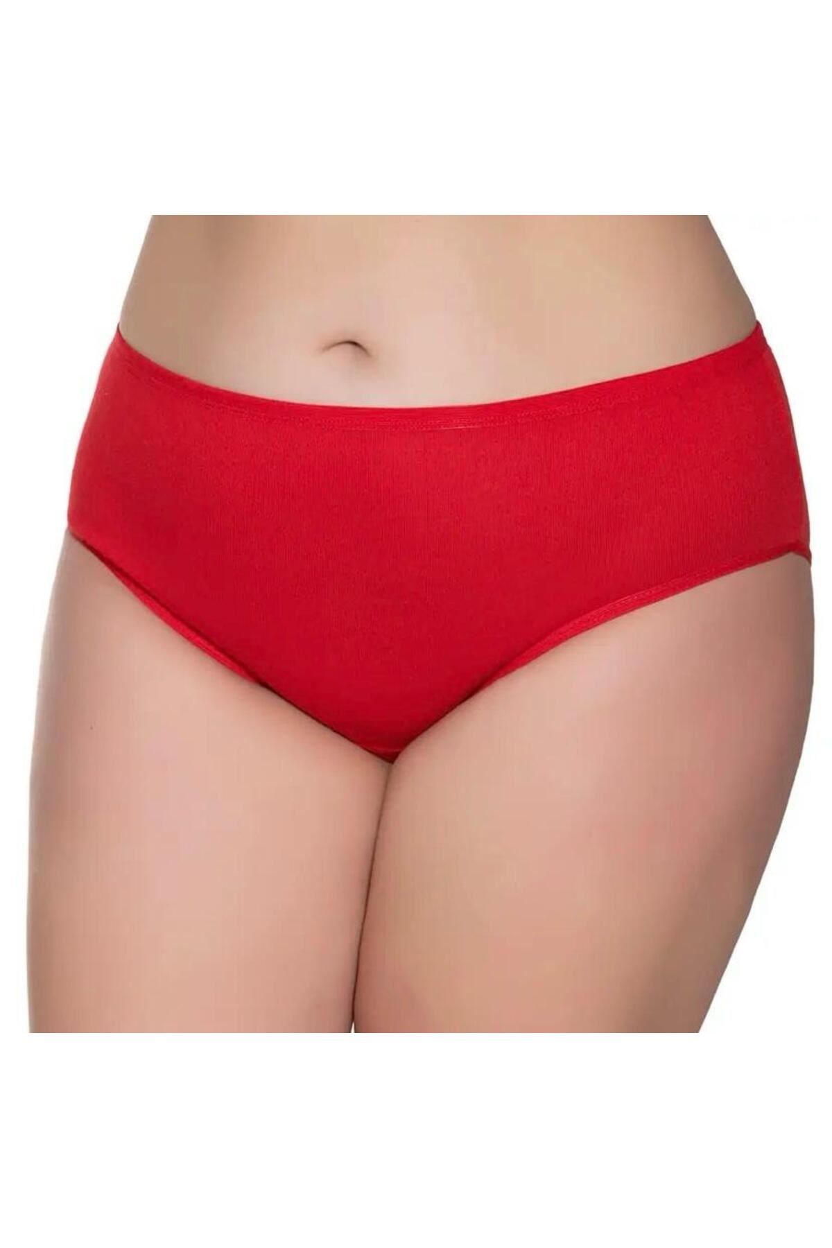 3'LÜ KADIN İNCE LASTİK BATO KÜLOT- 1047