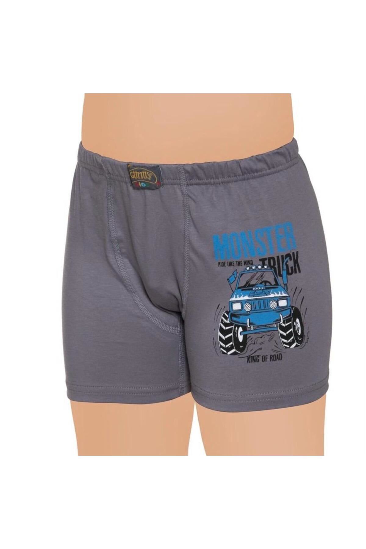 12'Lİ ERKEK ÇOCUK BOXER KARIŞIK RENK DESEN-3110