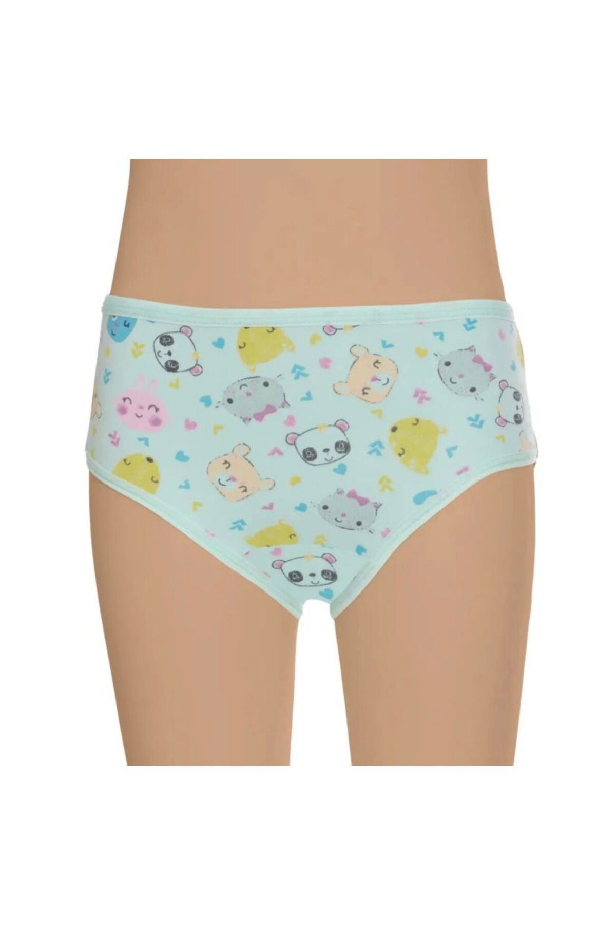 KIZ ÇOCUK KÜLOT 6'LI PAKET KARIŞIK DESEN-RENK 3071