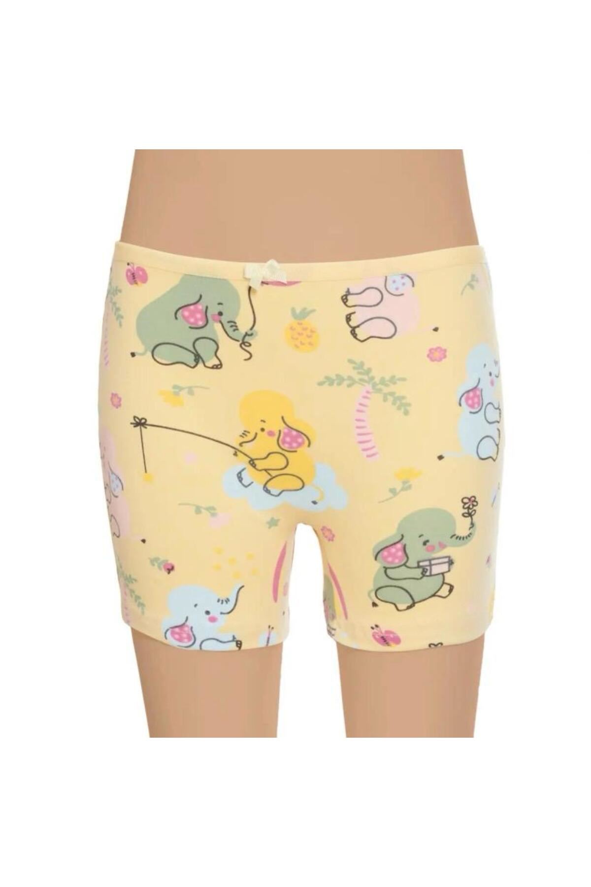 KIZ ÇOCUK BOXER DESENLİ 6'LI PAKET KARIŞIK DESEN-GÜMÜŞ 3072