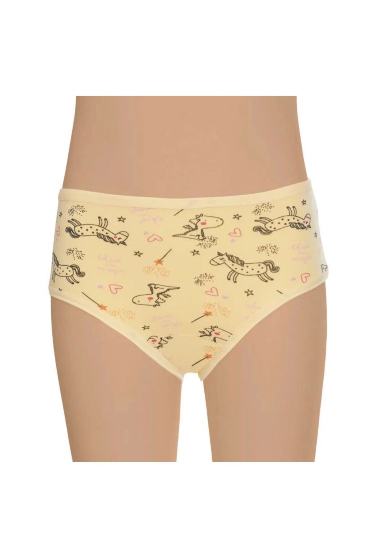 3'LÜ KIZ ÇOCUK KÜLOT KARIŞIK DESEN-RENK -GÜMÜŞ 3071