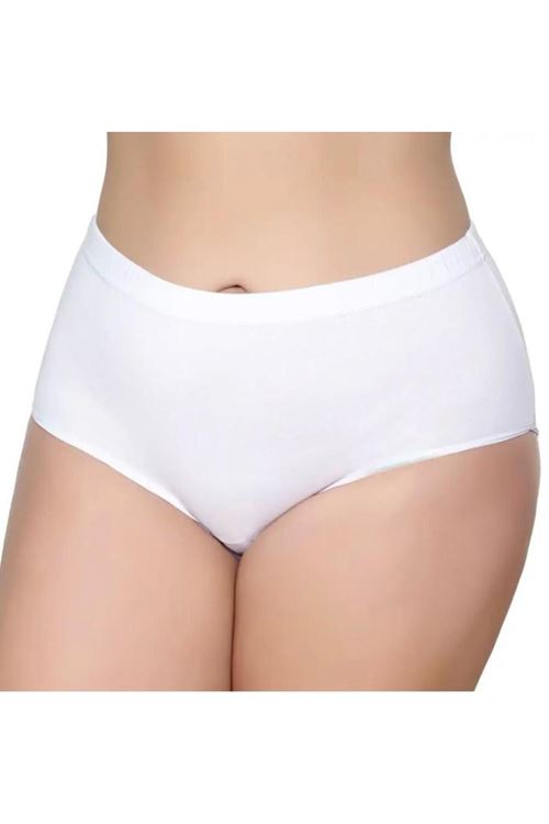 12'Lİ KADIN BATO KÜLOT GEÇME LASTİK-GÜMÜŞ 3040-3041