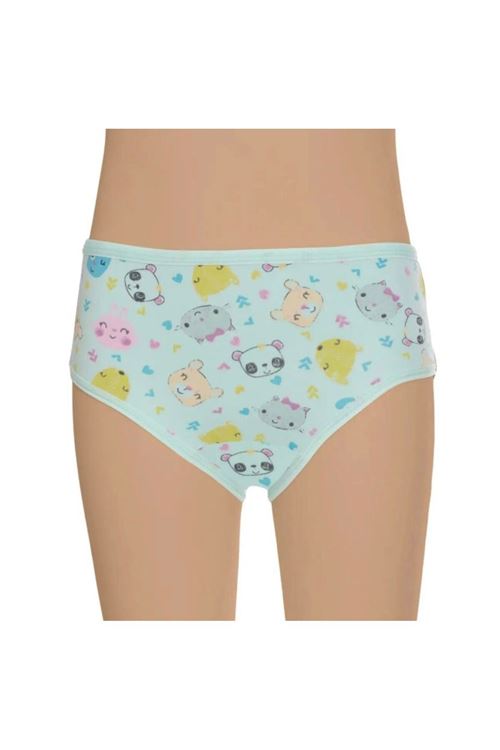 KIZ ÇOCUK KÜLOT 6'LI PAKET KARIŞIK DESEN-RENK 3071